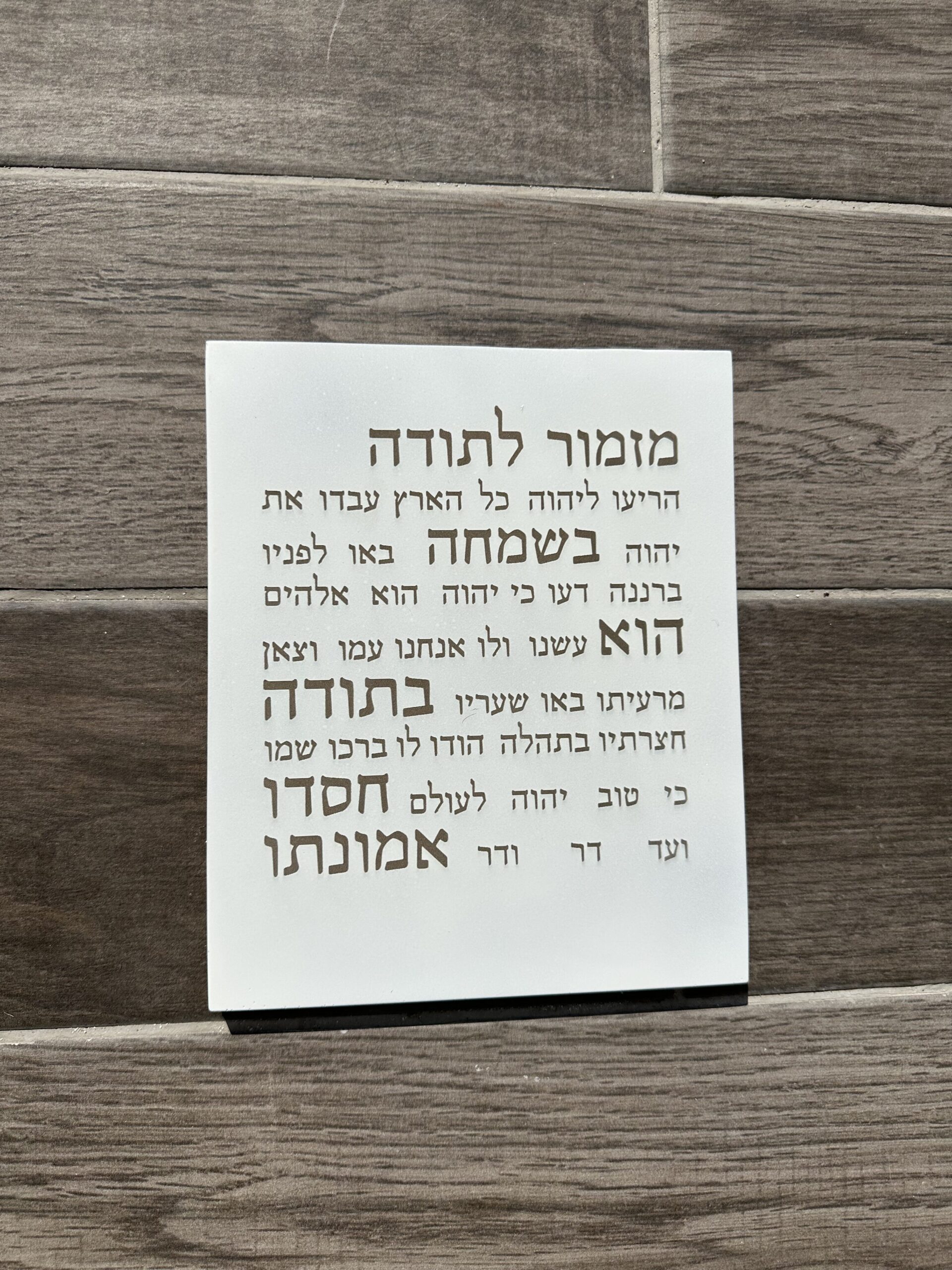 מזמור לתודה - לבן