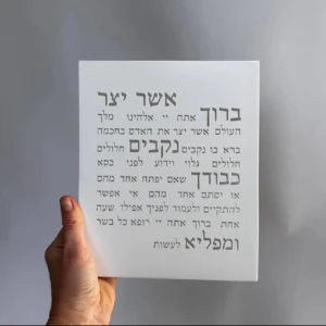 אשר יצר - לבן