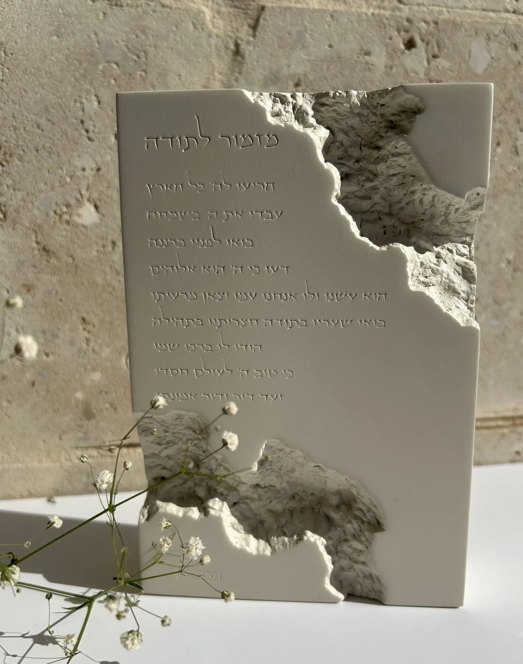 בלוק מזמור לתודה בז